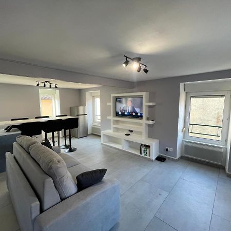 Appartement Familiale Premium : Proche Gare De Бельфор Екстер'єр фото