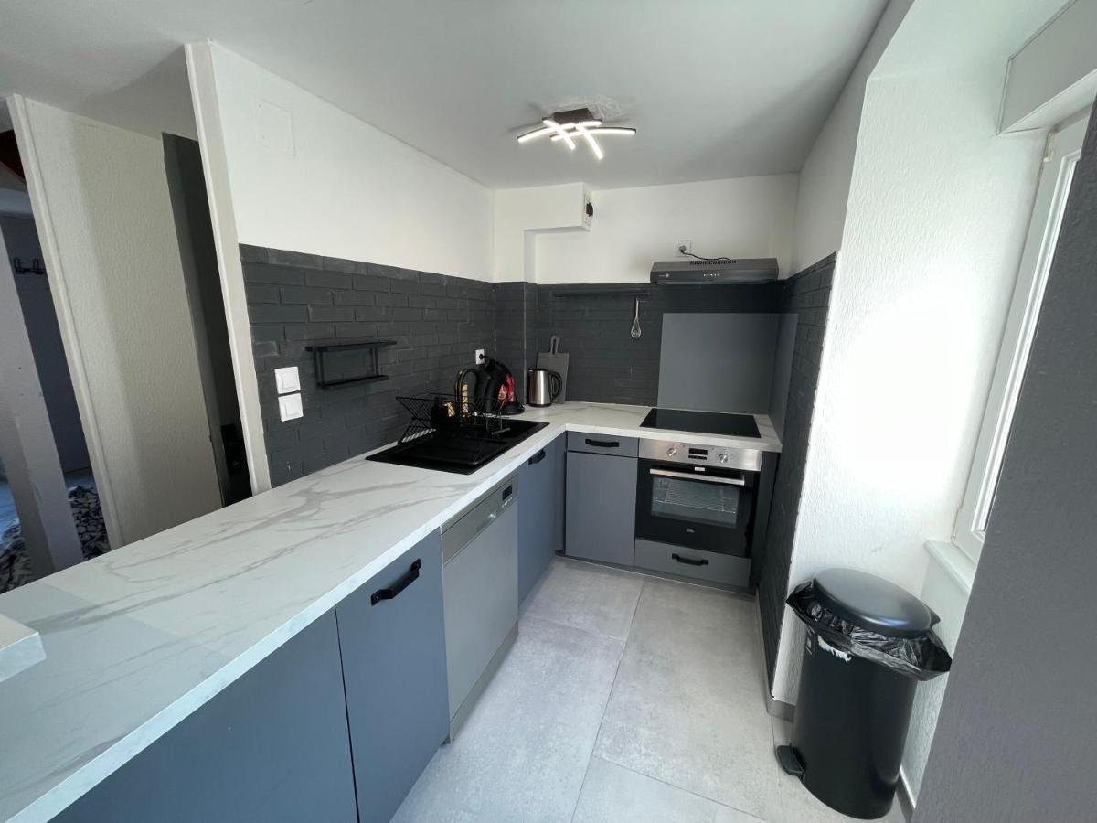 Appartement Familiale Premium : Proche Gare De Бельфор Екстер'єр фото