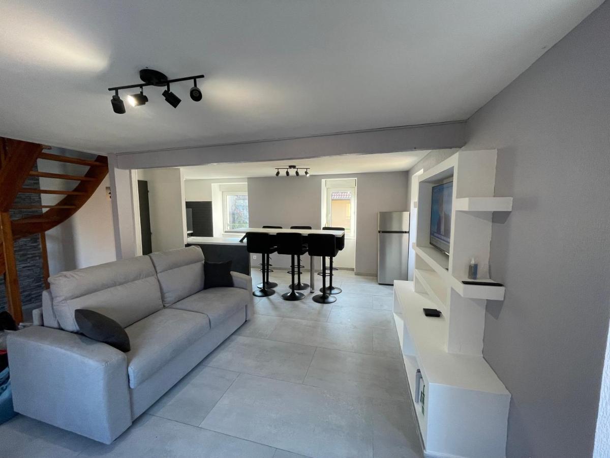 Appartement Familiale Premium : Proche Gare De Бельфор Екстер'єр фото